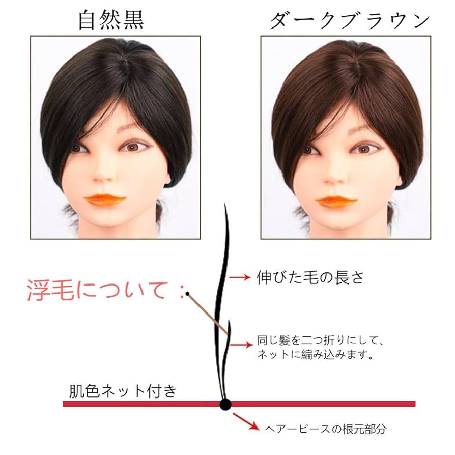 大人気❗️AISIHAIRウィッグ ストレートヘアー 通気 ウイッグ 総手植え人毛 Amazon.co.jp: AISIHAIRウィッグ ストレートヘアー 通気